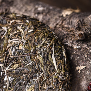 DiJie of Bingdao raw pu erh